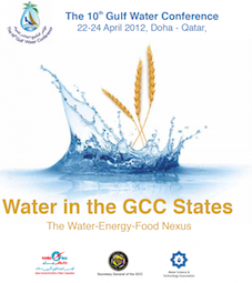 Franck Galland, Emergency preparedness and crisis response in water management, Gulf Water Conference